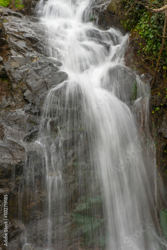 Cascading waterfall in a lush forest