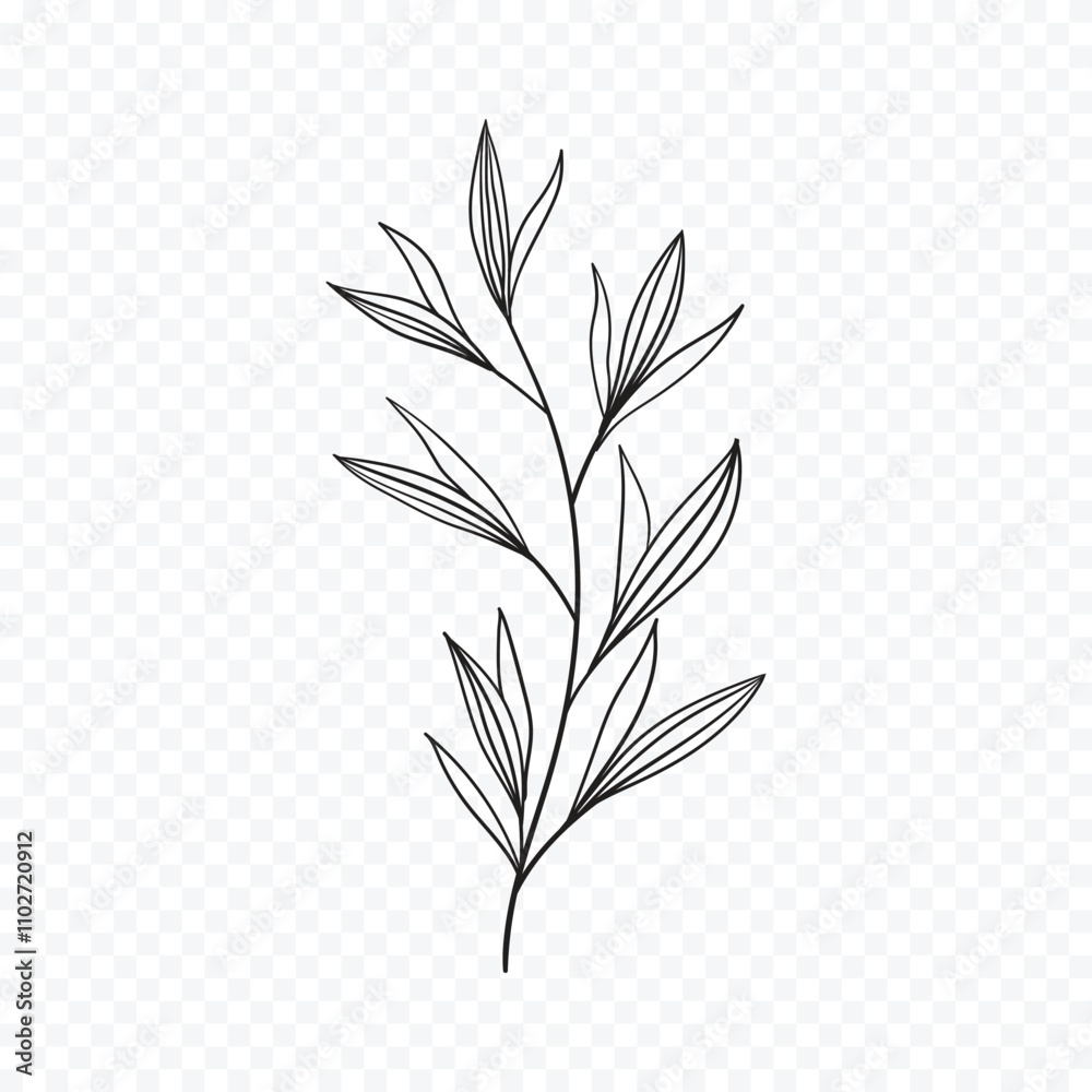 Hand drawn spring flowers illustration. floral illustration Hand drawn spring flowers illustration. floral illustration