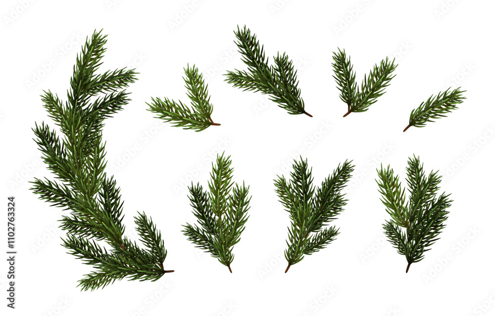 3d realistic vector icon set illustration. Fir tree collection of different size branch elements.