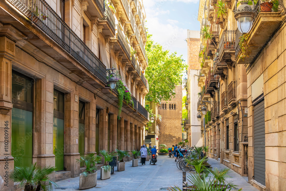 Fototapeta premium One of the historic alleys and streets of shops and apartments in the El Born Gothic quarter of the Catalonian city of Barcelona.
