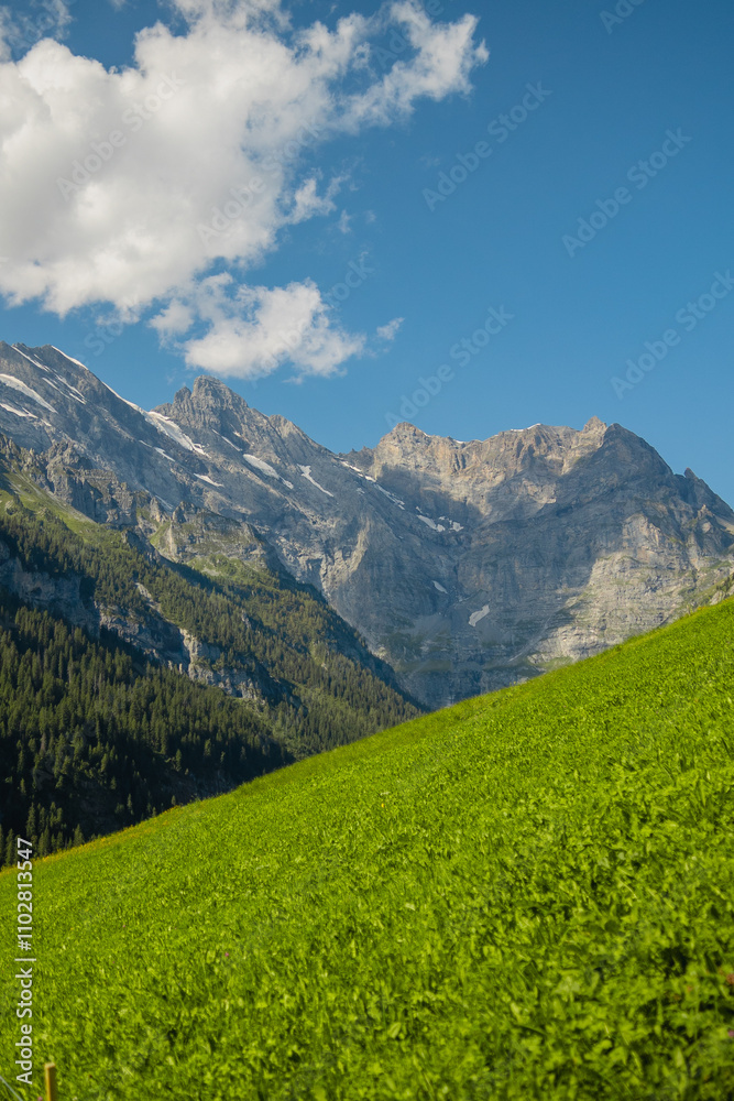 Fototapeta premium V&C_Switzerland&ItalyAUG-SEPT2024