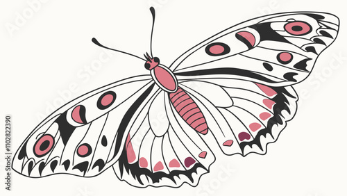 close up of beautiful colored lion with furs isolated on white
