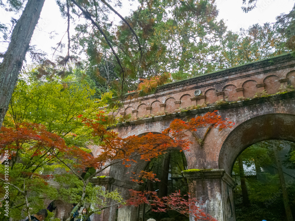 Obraz premium 京都 秋の水路閣の紅葉のイメージ