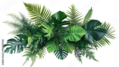 Tropical green leaves forest plant Monstera, fern, and climbing birdâ€™s nest fern foliage plants floral bunch for wedding and ceremony decoration isolated on white background