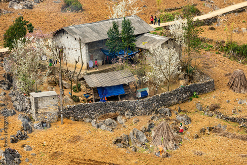 Spring landscape in Ha Giang - Northern mountainous province of Vietnam photo