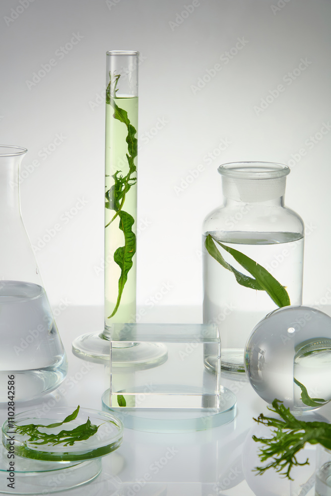 Biological experiment with seaweed ingredient in white minimal laboratory, a glass showcase platform in center for product displaying. Front view, space for text Biological experiment with seaweed ingredient in white minimal laboratory, a glass showcase platform in center for product displaying. Front view, space for text