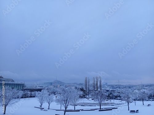 winter landscape with snow