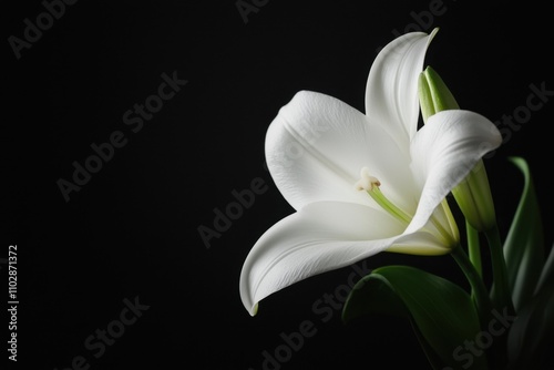 A white flower with a green stem is the main focus of the image