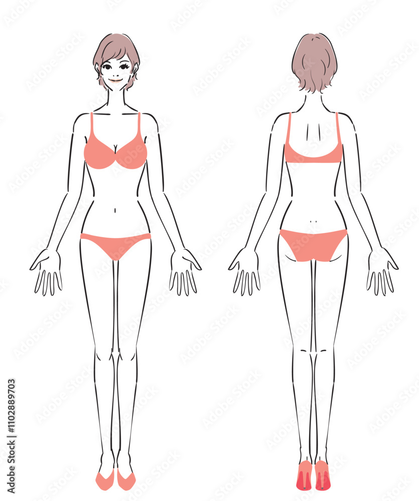普通体型の女性のイラスト
普通体型の女性のイラスト