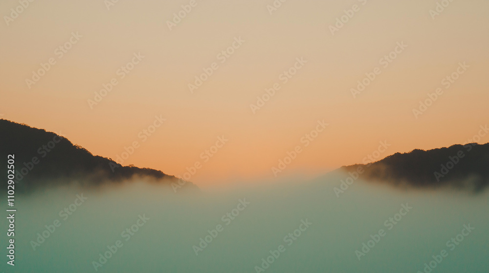 Sunlit jungle, backdrop, cozy colour, clouds, landscape, epic - high resolution Sunlit jungle, backdrop, cozy colour, clouds, landscape, epic - high resolution