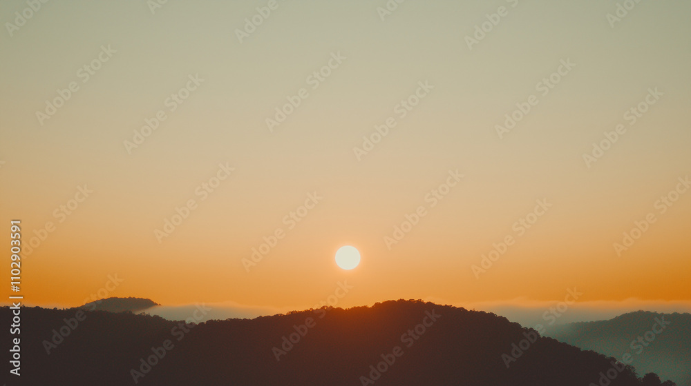 Sunlit jungle, backdrop, cozy colour, clouds, landscape, epic - high resolution Sunlit jungle, backdrop, cozy colour, clouds, landscape, epic - high resolution