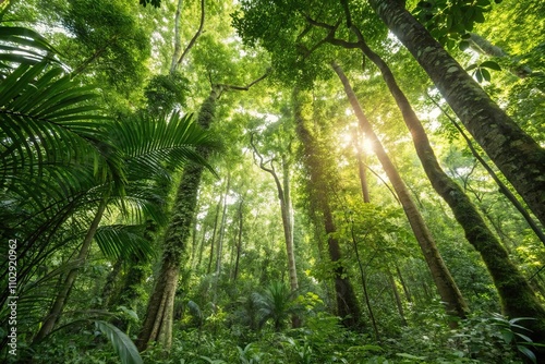 Tropical forest canopy with sunlight filtering through, green gradient, blue gradient, foliage, sunlight, tropical