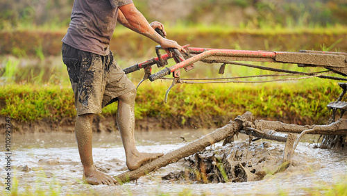 Asian rice farmer harrowing a flooded paddy field with a hand tractor, rural agriculture in asia