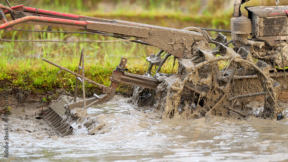 A rice farmer operating a mechanized paddy leveler in field, preparing the soil for planting, traditional equipment A rice farmer operating a mechanized paddy leveler in field, preparing the soil for planting, traditional equipment