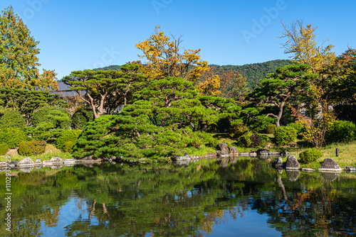 京都市京セラ美術館の日本庭園