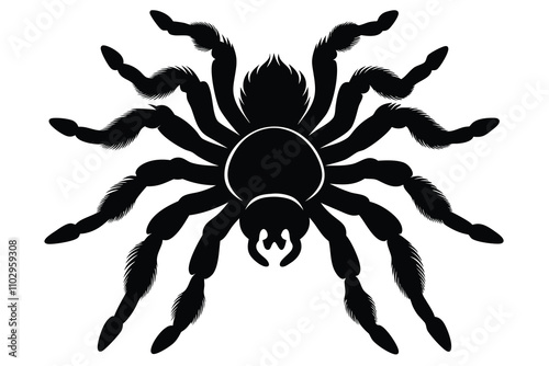 Tarantulas black silhouette H.eps