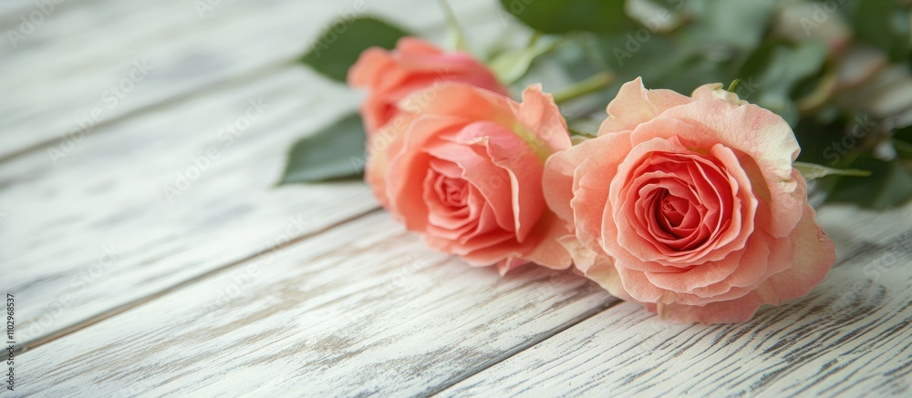 Pink roses arranged on a rustic white wooden surface with ample space for personalized text or branding messages Pink roses arranged on a rustic white wooden surface with ample space for personalized text or branding messages