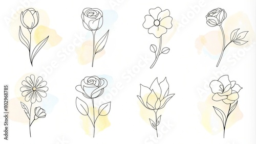 Yellow wildflowers set. Wildflowers floral botanical plants. Meadow and field herbs. Delicate summer flowers in hand drawn flat style. Set of summer delicate flower bouquets. Bunches of wildflowers