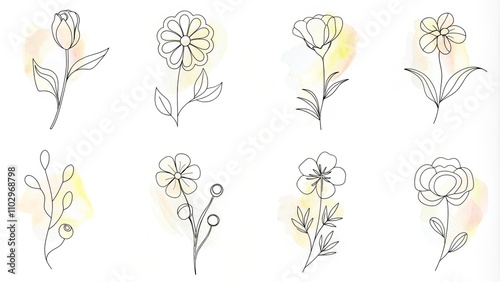 Yellow wildflowers set. Wildflowers floral botanical plants. Meadow and field herbs. Delicate summer flowers in hand drawn flat style. Set of summer delicate flower bouquets. Bunches of wildflowers
