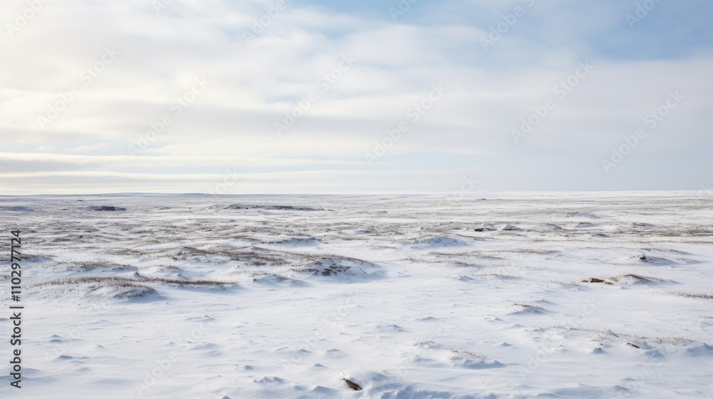 Vast snowy tundra landscape under a cloudy sky showcasing the serene beauty of winter wilderness. Vast snowy tundra landscape under a cloudy sky showcasing the serene beauty of winter wilderness.
