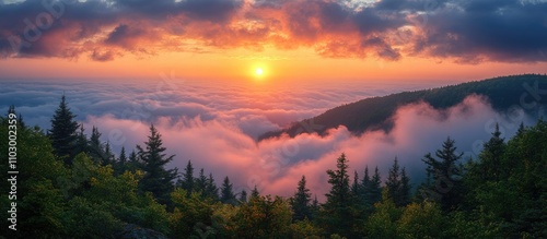 Breathtaking sunrise over a mountain landscape with vibrant clouds and lush trees creating a serene nature scene.