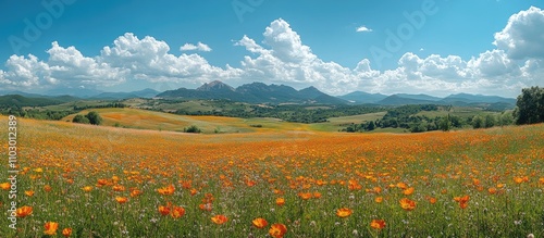 Vibrant summer landscape of Tuscany with blooming flowers and rolling hills under a bright blue sky.