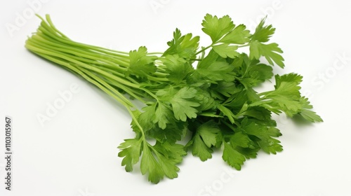 Fresh green parsley with vibrant leaves on a clean white background for culinary and recipe visuals photo