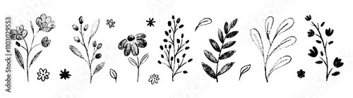 Cute floral simple doodle botanical art. Flowers, leaves, greenery kid style drawings. Crayon pencil vector. Spring, summer childish blosooms.