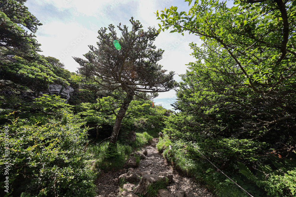 제주도 제주시 애월읍 광령리 윗세오름