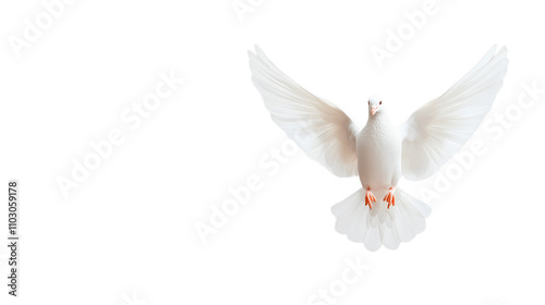 Flying White Dove on Transparent Background