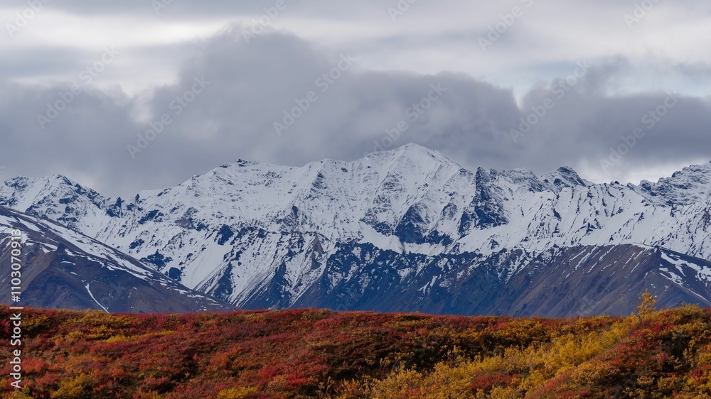 View of Denali National Park with mountains in Alaska with cloudy sky and Ice on top of mountains View of Denali National Park with mountains in Alaska with cloudy sky and Ice on top of mountains