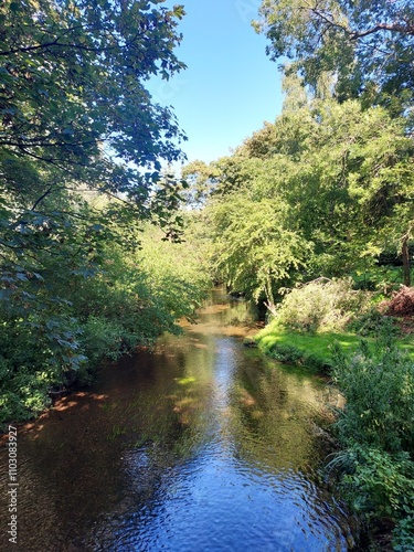 river in the woods