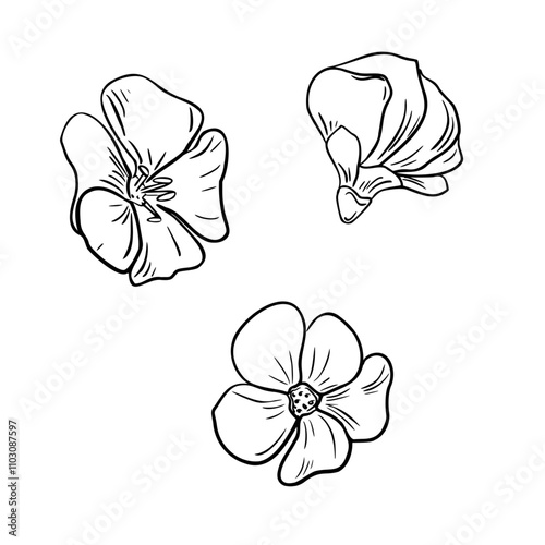 Flax flowers set black white vector illustration isolated. Linum usitatissimum herbal plants hand drawn graphic sketch. Bloom heads in line art for design package oil, organic product, grocery.