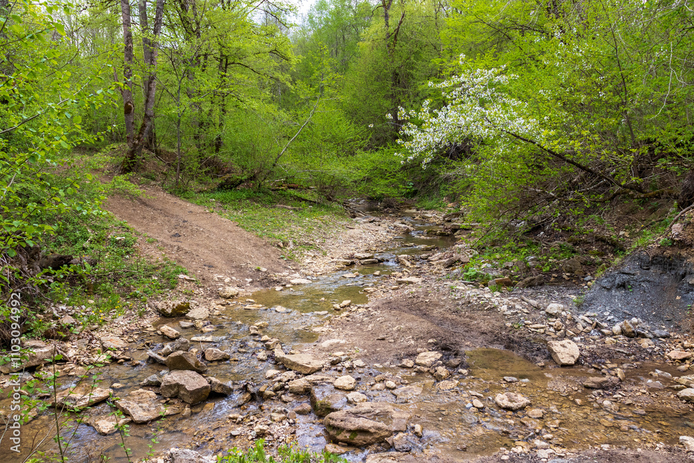 nature park , a walk along the riverbed with an overview of the stone bottom and banks nature park , a walk along the riverbed with an overview of the stone bottom and banks