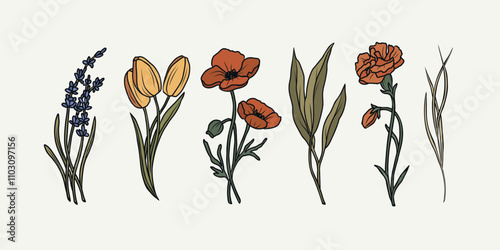 Hand drawn flowers and plants. Lavender, tulip, poppy, eucalyptus, carnation