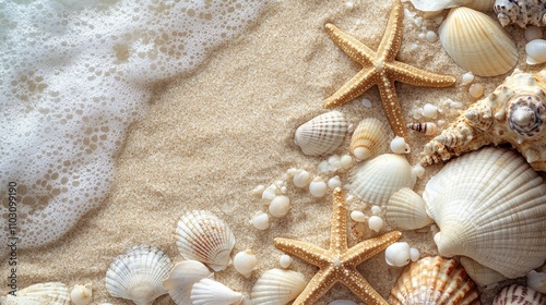 A sandy beach with exotic seashells and starfish as natural textured background. Top view  photo