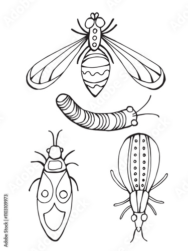 Black and white doodle illustration of a detailed beetle with ornament. Line art drawing isolated on white background. Coloring book page.