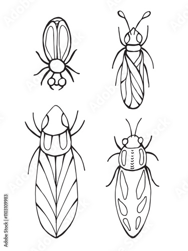 Black and white doodle illustration of a detailed beetle with ornament. Line art drawing isolated on white background. Coloring book page.