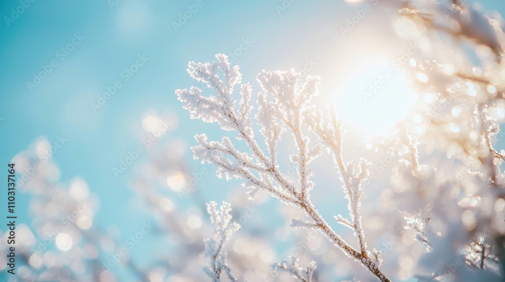 Glittering winter wonderland nature macro photography frosted branches bright sunlight serenity Glittering winter wonderland nature macro photography frosted branches bright sunlight serenity