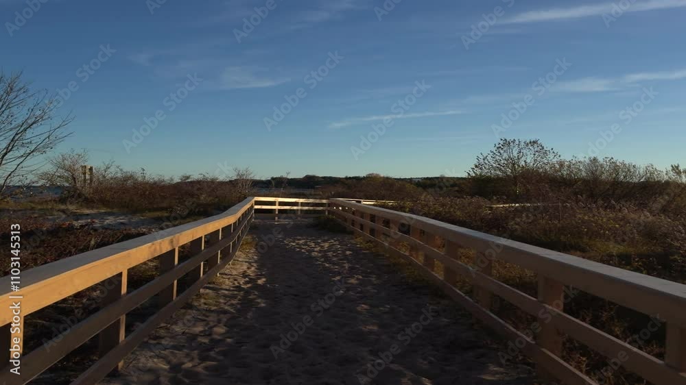 A walk along the path among the dunes. A walk along the path among the dunes.