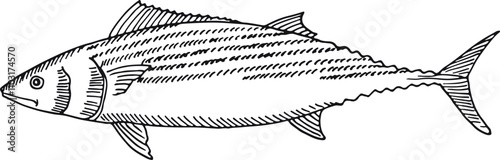 A fish is shown in a black and white drawing