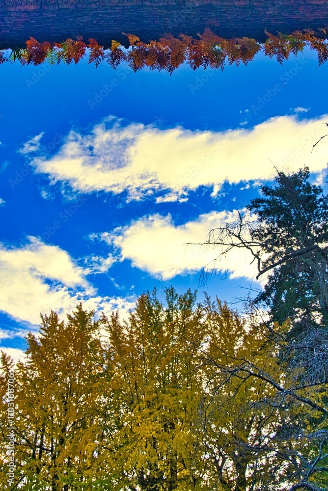 Fototapeta premium 広徳寺の紅葉