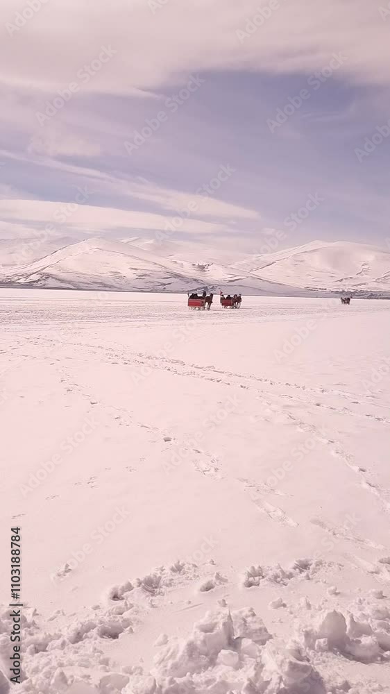 Frozen Cildir Lake, riding with horse carriage, vertical view Frozen Cildir Lake, riding with horse carriage, vertical view