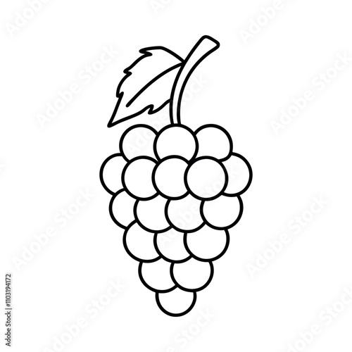 illustration of grapes
