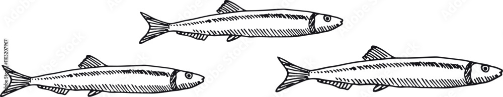 Three fish swimming in a line