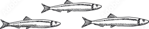 Three fish swimming in a line