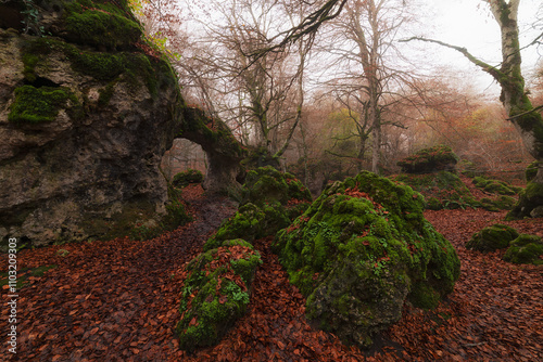 Autumn forest in Entzia, Alava, Spain photo