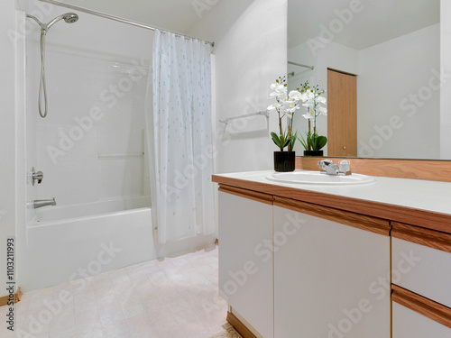 Modern residential bathroom interior