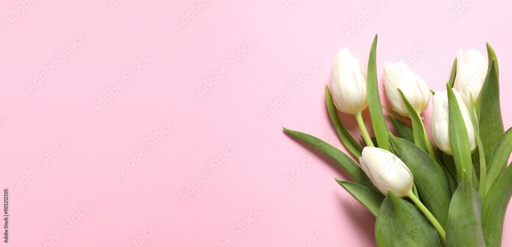 Beautiful fresh tulips on color background Beautiful fresh tulips on color background