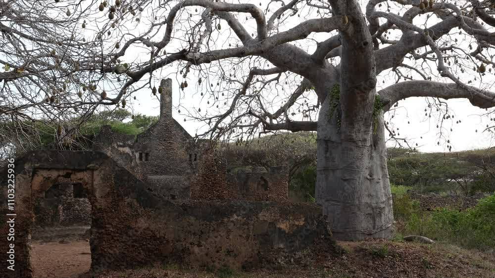 Mosque in Takwa ruins, Lamu County, Manda island, Kenya